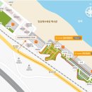 망상리조트 자동차캠핑장 이미지