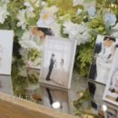 제이엔 | 📸 본식 스냅 &amp; DVD 업체 계약 후기｜제이엔필름(JNFILM)