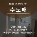 다산 종합 재활용 | 남양주도배 진접 더샵남양주버스드시티24평 도배시공 후기