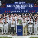 엘지트윈스 우승 축하 이미지