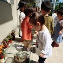 와우 동물농장 이미지