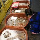 역곡북부시장 이미지