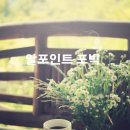 알포인트커피 이미지
