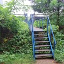 양지배수지축구장 이미지