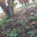 모현공원 화장실 이미지