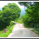 홍계마을 이미지