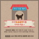 제주야생동물구조센터 이미지