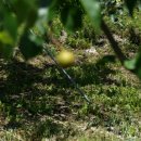 똘배농장 이미지