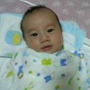 이**-44 Daum카페