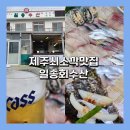 일송회수산 | [제주] 쇠소깍 근처 횟집맛집 일송회수산 갈치고등어회미친놈. . .♡