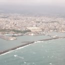 인술농장 | 유기농 마누라의 고백