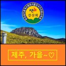 Re: 강산회 160차 한라산 단풍산행 - 10/21(토)~22(일) 신청방 이미지