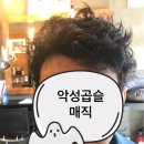 브라더살롱