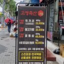 국이오 비산점 이미지