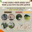 국립상당산성자연휴양림 이미지