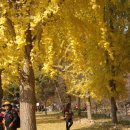 나들농장 이미지