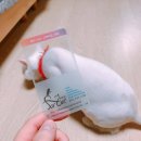 포캣(for cat) 이미지