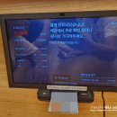 국수나무 완주봉동점 이미지