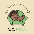 도그레스트 이미지