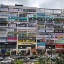 이미숙골프아카데미 이미지