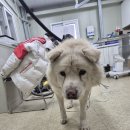 남양주별내119안전센터 이미지