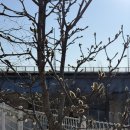 전곡농협 백학주유소 이미지