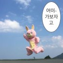 하니칼국수 이미지