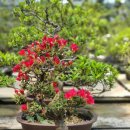 수광농장 이미지