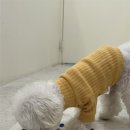 엘라 유치원 이미지
