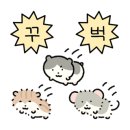 칵투스베이커리 이미지