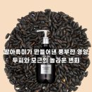 올포독 이미지