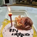 괴정2동-20 이미지