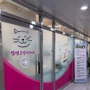 설렘고양이카페 | [다산 고양이카페] 설렘 | 고양이 좋아하는 아이랑 방문후기 내돈내산