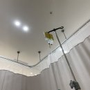 부안 안심소 | 기록용, 임신부터 출산까지 대장정, 천소예 출생기록(구.또복)