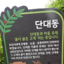 옥천 약수터 이미지