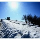 정기목장 이미지