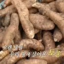 덕유산식품 이미지