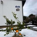 비자노아 이미지