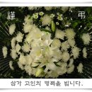 김*순 Daum카페