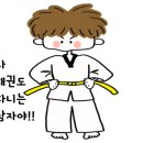 내체력 태권도장 이미지