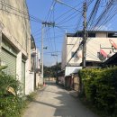 자유세탁소 이미지