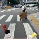 한가묘 이미지