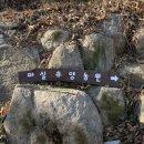 마실휴양농원 | 마실휴양농원 캠핑 1박 날것 그대로의 후기