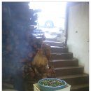 가야산식당 이미지