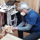 한국수력원자력(주)울진원자력본부 뉴스1