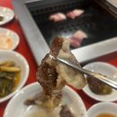 홍지 이미지