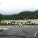 영남초등학교 이미지