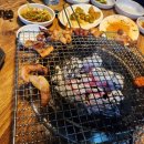 참뽈살 이미지
