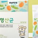 견생템 이미지