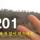 반가운만남! 2012년 새해 행복한 동행 [KJ동행] 이미지